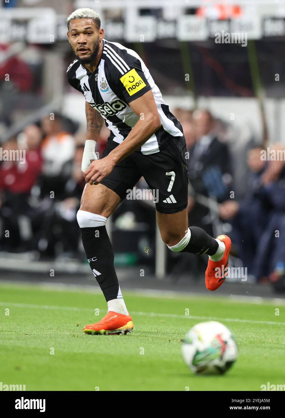 Joelinton newcastle united 2024 hi-res stock photography and