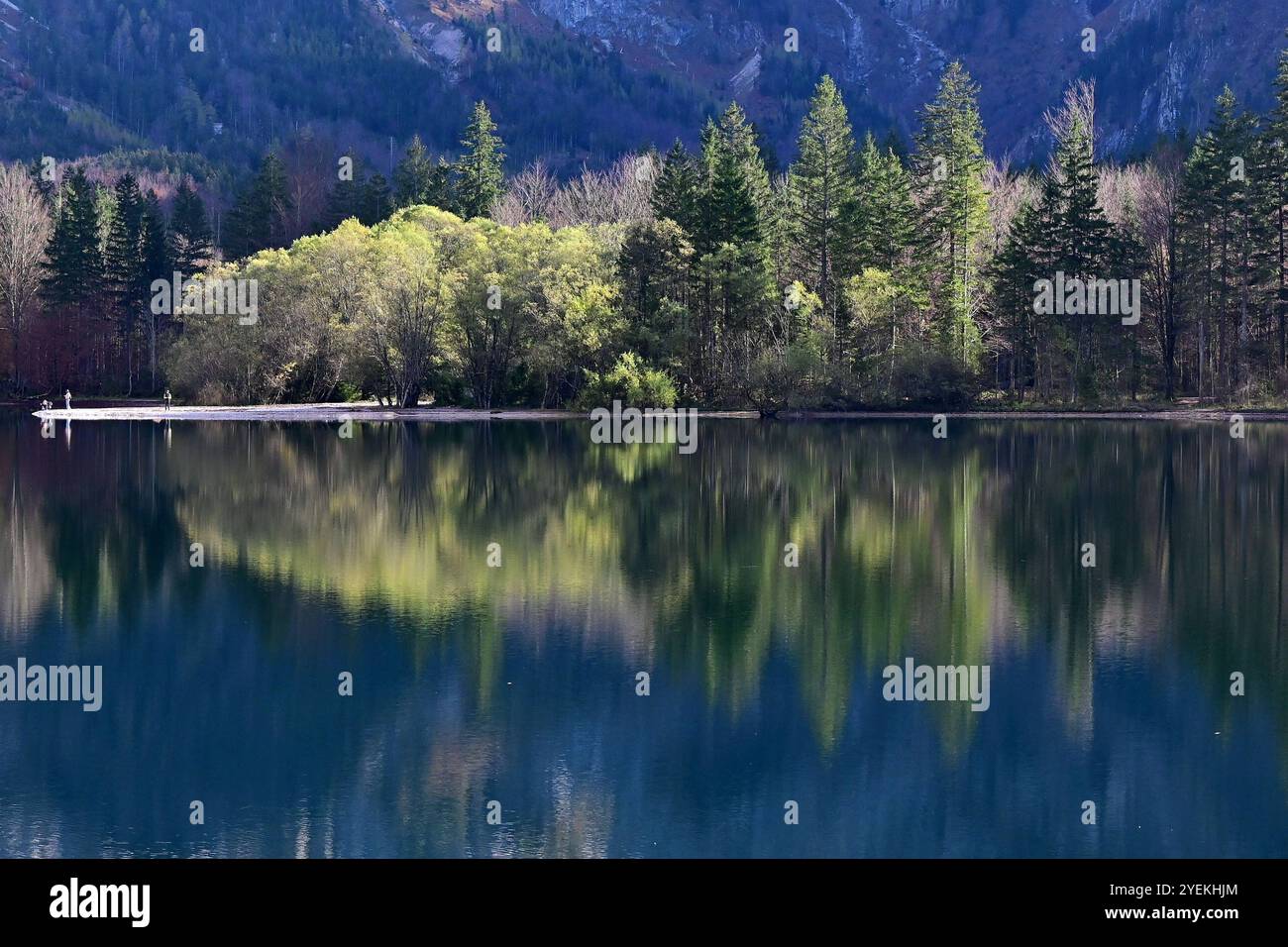 Wanderung rund um den Offensee im oberösterreichischen Salzkammergut, fotografiert am 30.10.2024. - Das Bild zeigt ein Landschaftsbild am Seeufer mit Spiegelungen im Offensee im Oberösterreichischen Salzkammergut in Österreich 2024 - Wanderung rund um den Offensee im oberösterreichischen Salzkammergut, am 30.10.2024. *** Hike around the Offensee in the Upper Austrian Salzkammergut, photographed on 30 10 2024 The picture shows a landscape picture on the lakeshore with reflections in the Offensee in the Upper Austrian Salzkammergut in Austria 2024 Hike around the Offensee in the Upper Austrian S Stock Photo