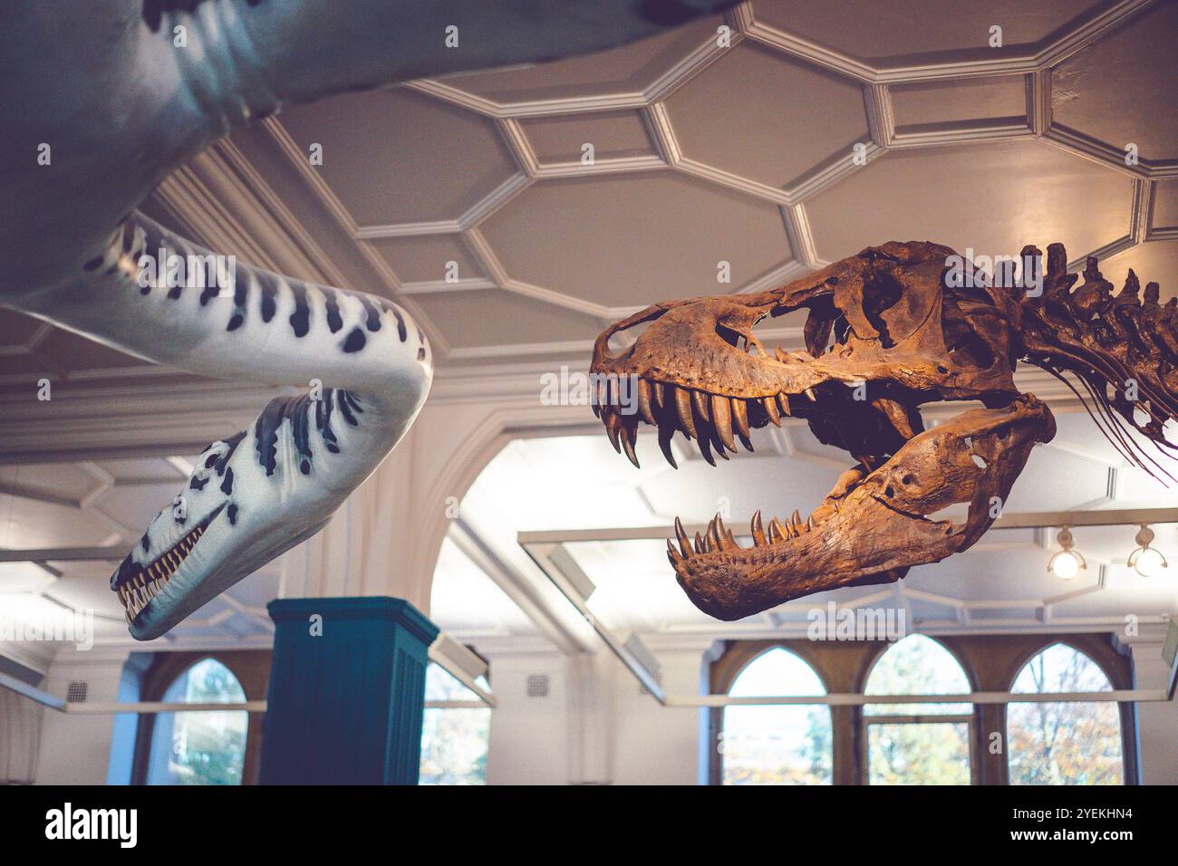 Exhibit in Manchester Museum Stock Photo