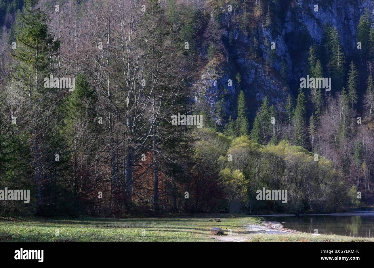 Wanderung rund um den Offensee im oberösterreichischen Salzkammergut, fotografiert am 29.10.2024. - Das Bild zeigt ein Landschaftsbild rund um den Offensee im Oberösterreichischen Salzkammergut in Österreich 2024 - Wanderung rund um den Offensee im oberösterreichischen Salzkammergut, am 29.10.2024. *** Hike around the Offensee in the Upper Austrian Salzkammergut, photographed on 29 10 2024 The picture shows a landscape around the Offensee in the Upper Austrian Salzkammergut in Austria 2024 Hike around the Offensee in the Upper Austrian Salzkammergut, on 29 10 2024 Stock Photo