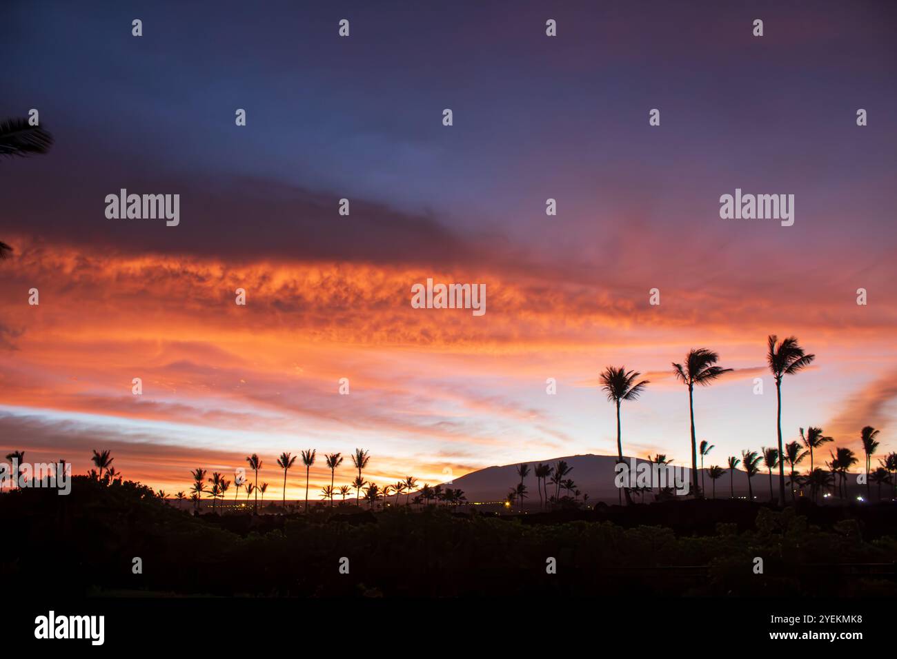 Hawaii palm tree sunrise hi-res stock photography and images - Alamy