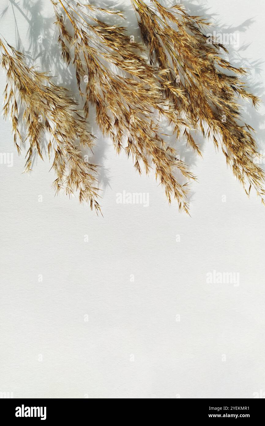 Elegant vertical cluster hi-res stock photography and images - Alamy