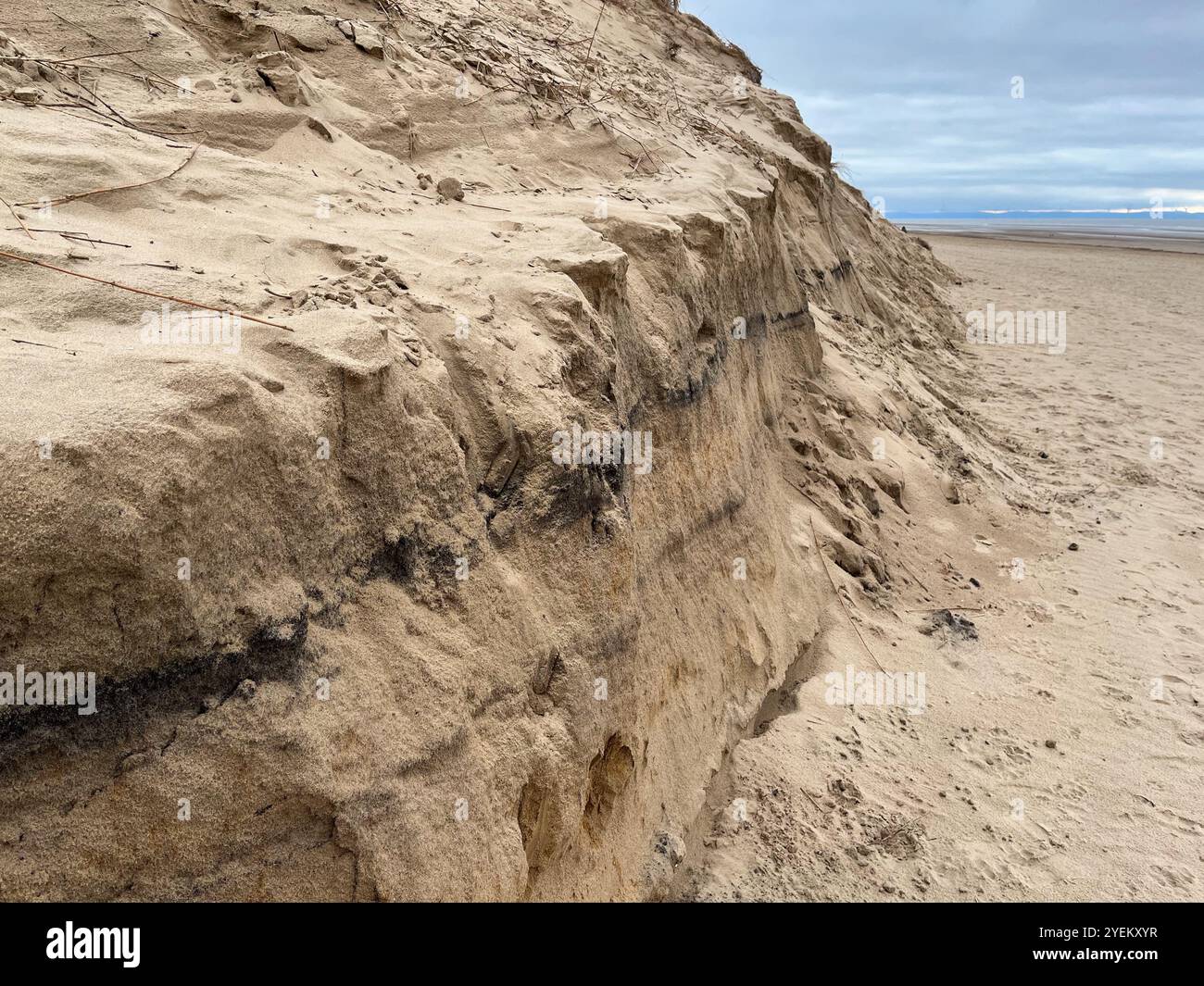 Sand Dune Erosion at Formby Mersyside UK - Smartphone Captured Stock Image