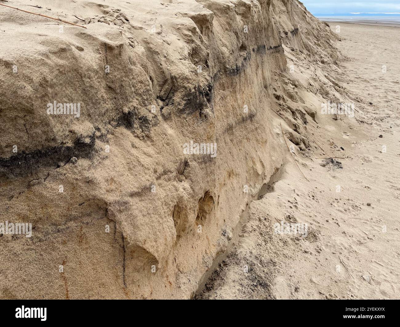 Sand Dune Erosion at Formby Mersyside UK - Smartphone Captured Stock Image