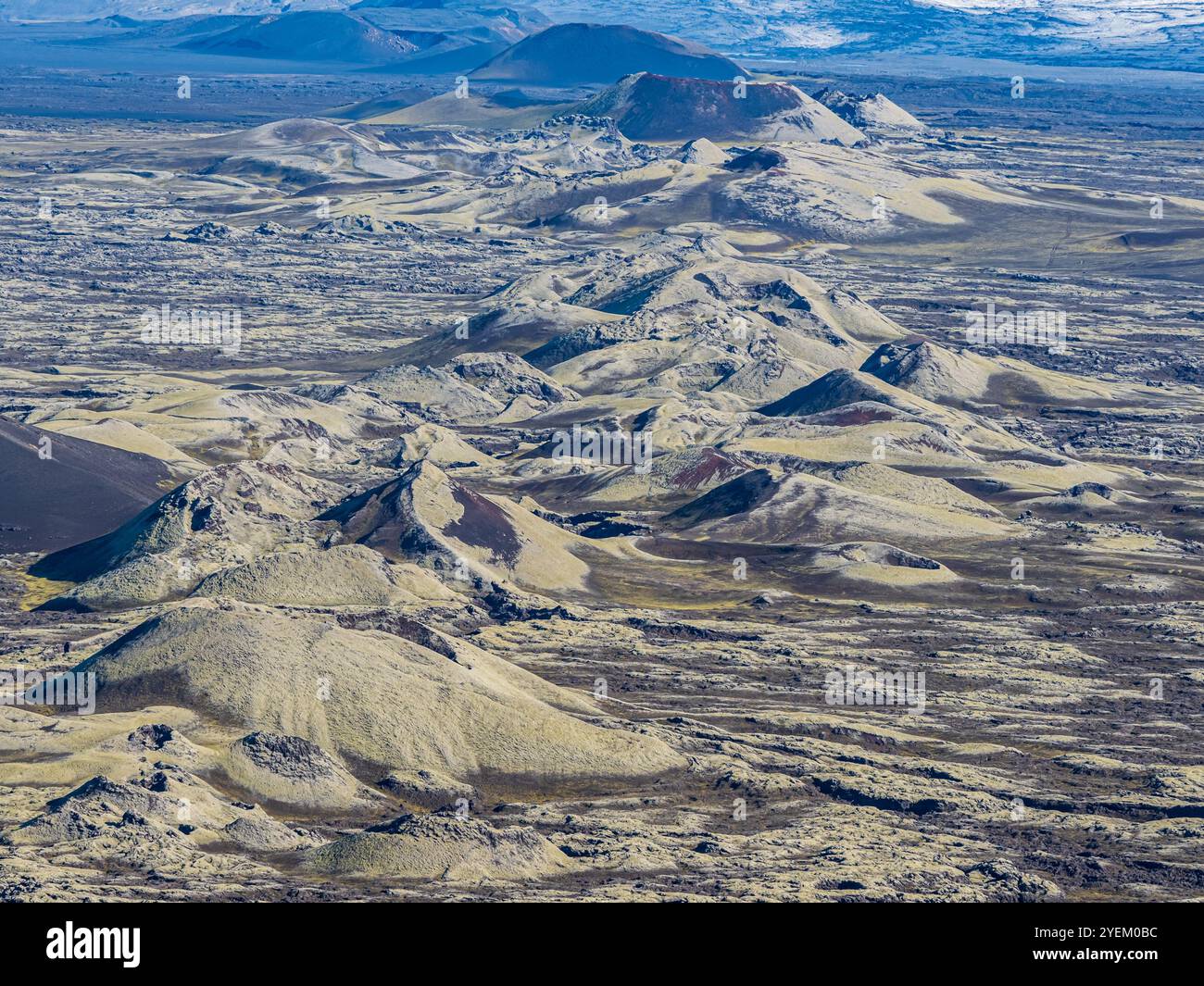 Moss-covered Laki crater or Lakagígar, series of craters,  crater continue below glacier Vatnajökull, interior highlands of Iceland,  Suðurland, Icela Stock Photo