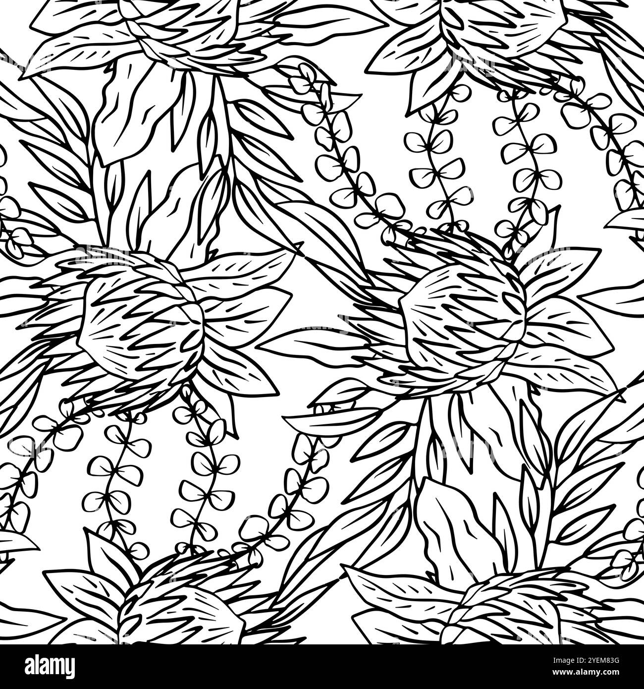 Black and white seamless pattern with line art protea flowers Stock ...