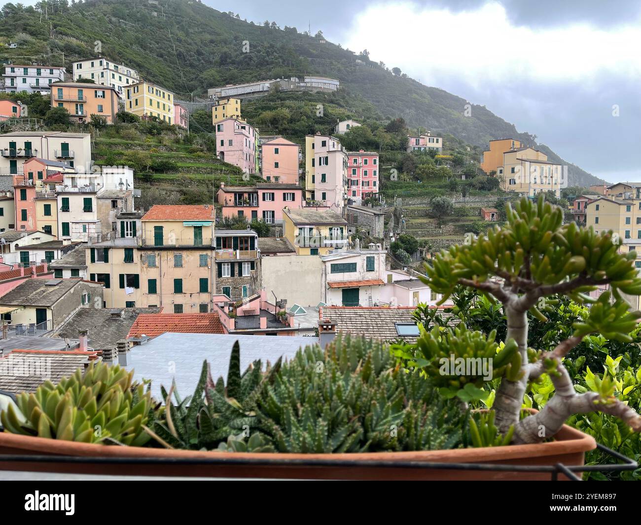 Riomaggiore, Italy - Smartphone Captured Stock Image
