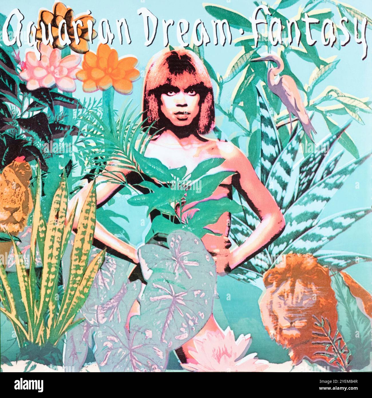Aquarian Dream - Fantasy   - Original Vinyl Cover Stock Photo