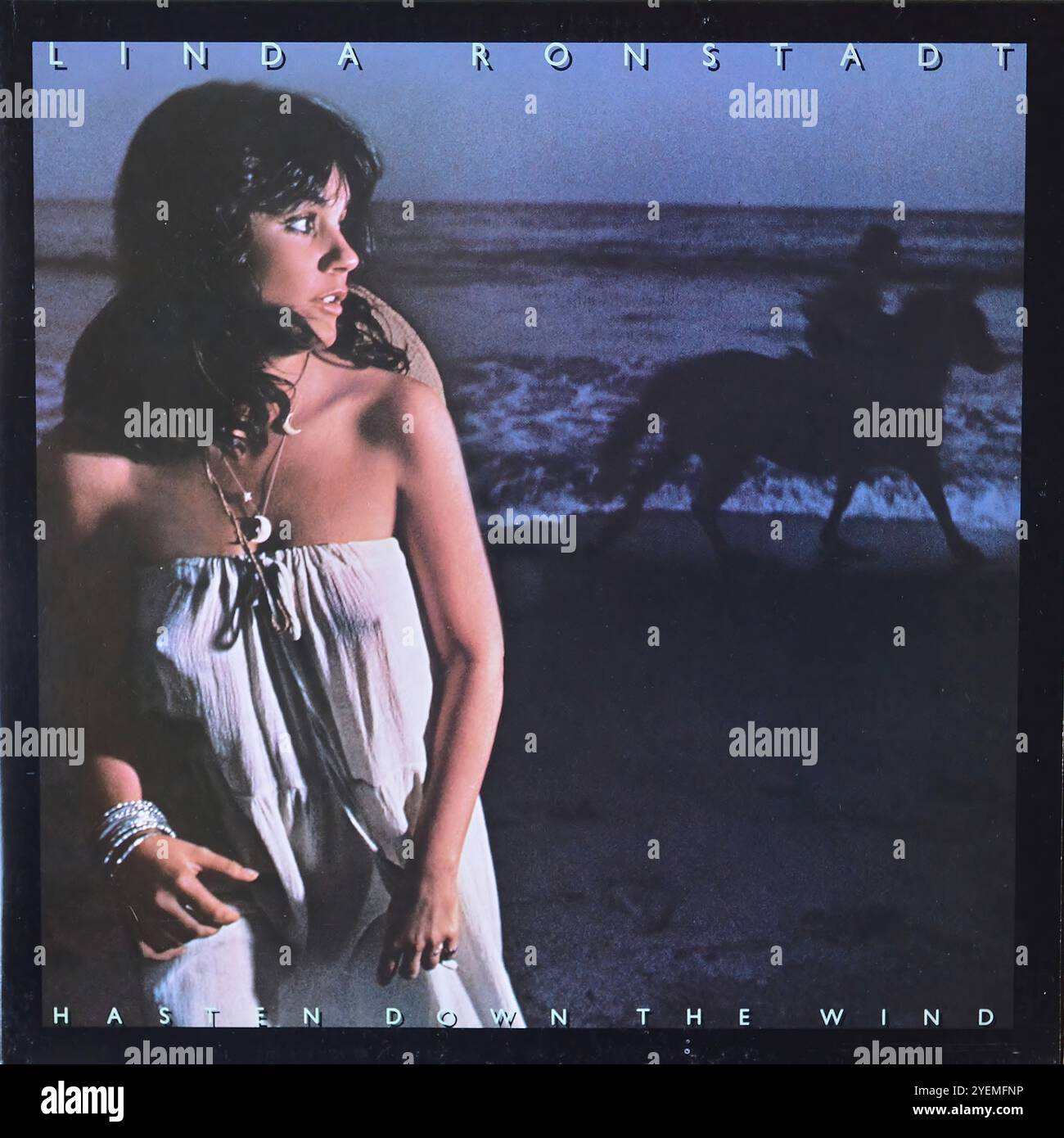洋楽 Linda Ronstadt Hasten Down the Wind Linda Ronstadt Hasten Down The Wind 180g LP