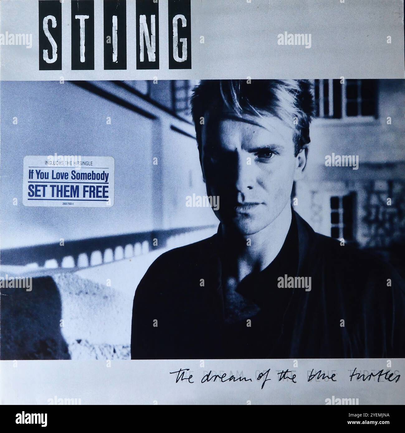 sting i dream of rain lyrics