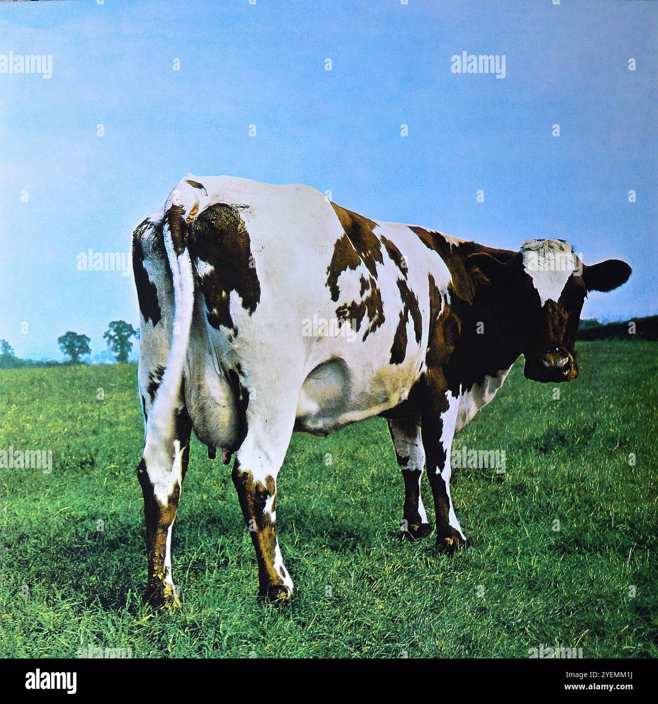 Pink Floyd Atom Heart Mother Atom-DEHorzu2 - Vintage vinyl album cover  Stock Photo - Alamy, image size:1300x1390