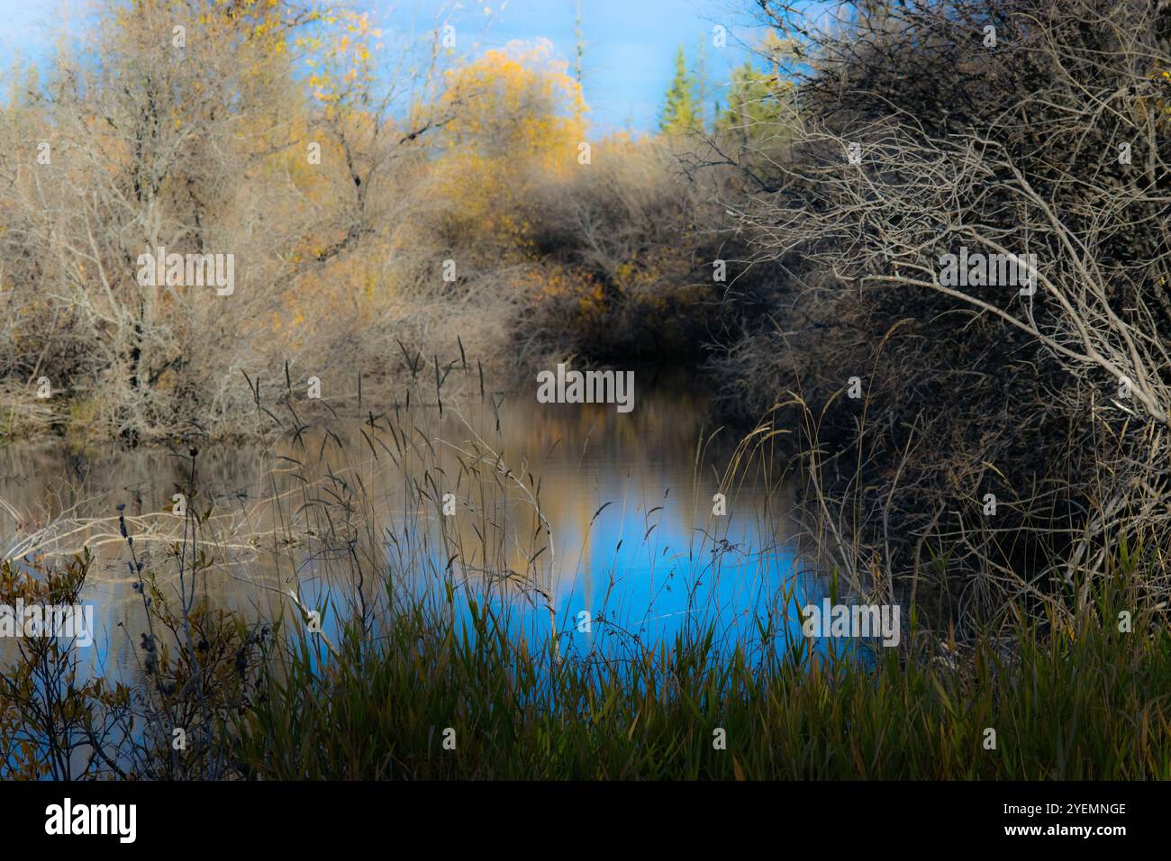 Fall scenery from the trail Stock Photo - Alamy