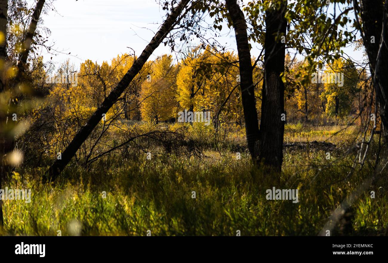 Fall scenery from the trail Stock Photo - Alamy
