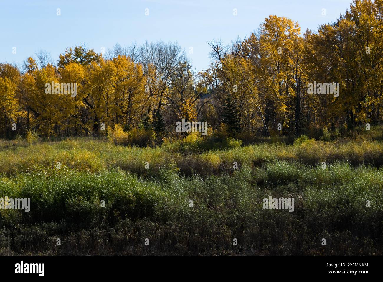 Fall scenery from the trail Stock Photo - Alamy