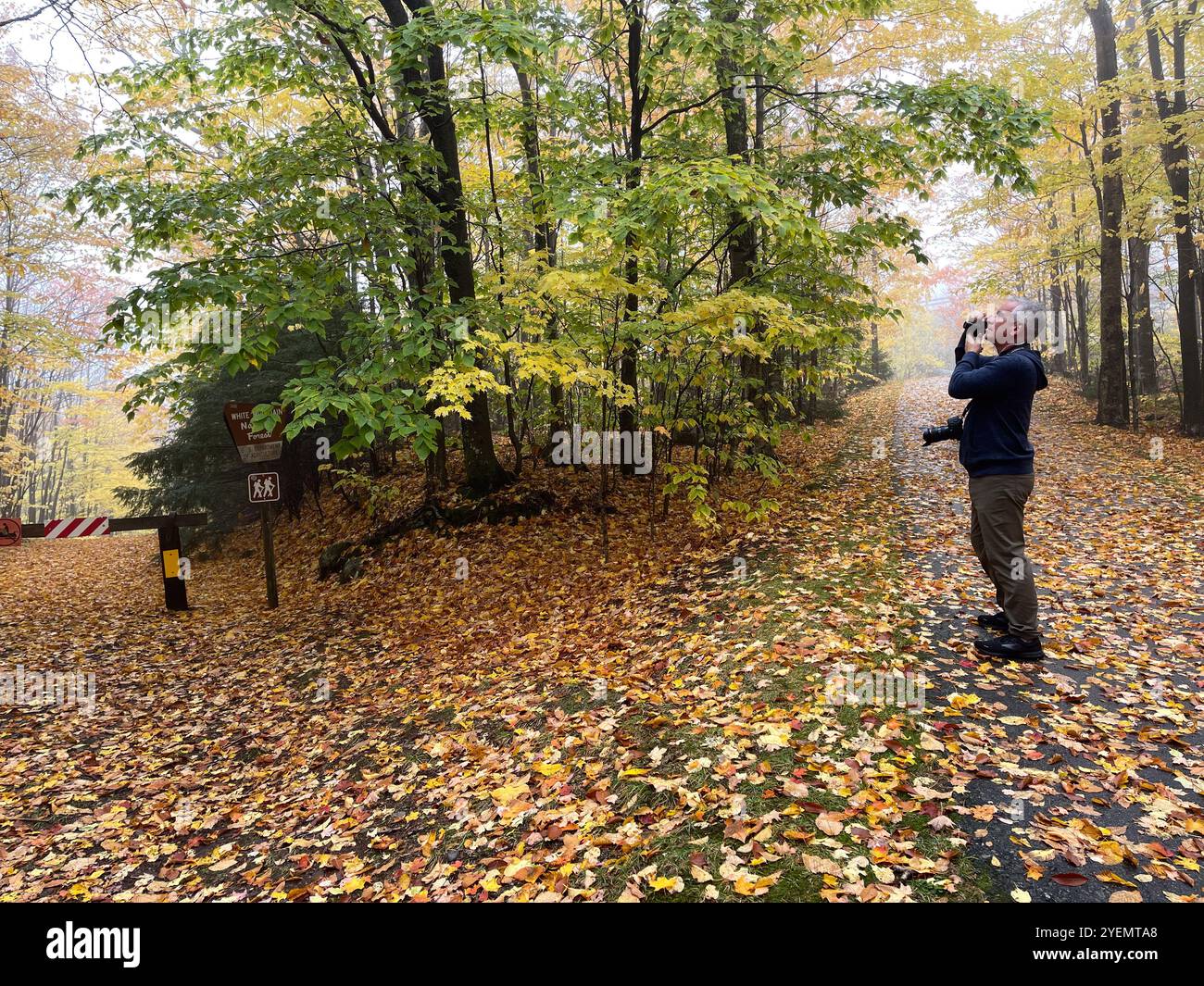 Man taking pictures of the fall foliage, New England, USA - Smartphone Captured Stock Image