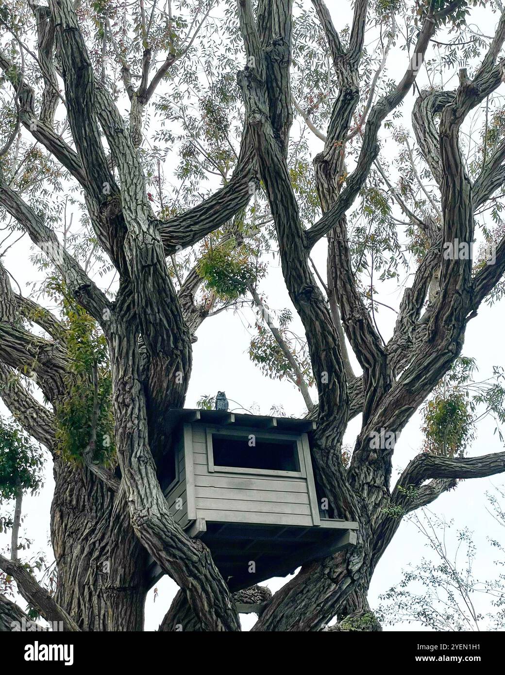 boats docked at a distance - Smartphone Captured Stock Image