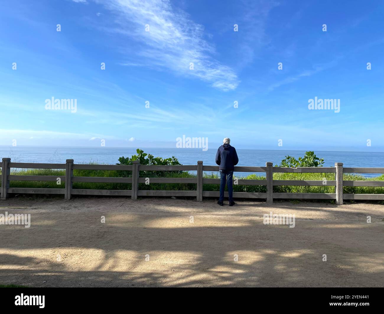 tall palms at sunset - Smartphone Captured Stock Image