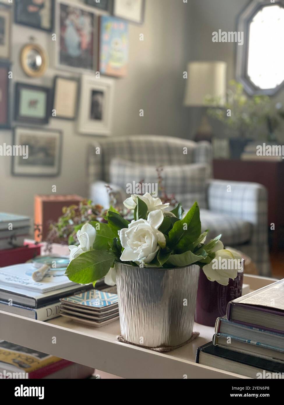 vase of flowers in decorated luxurious living room - Smartphone Captured Stock Image