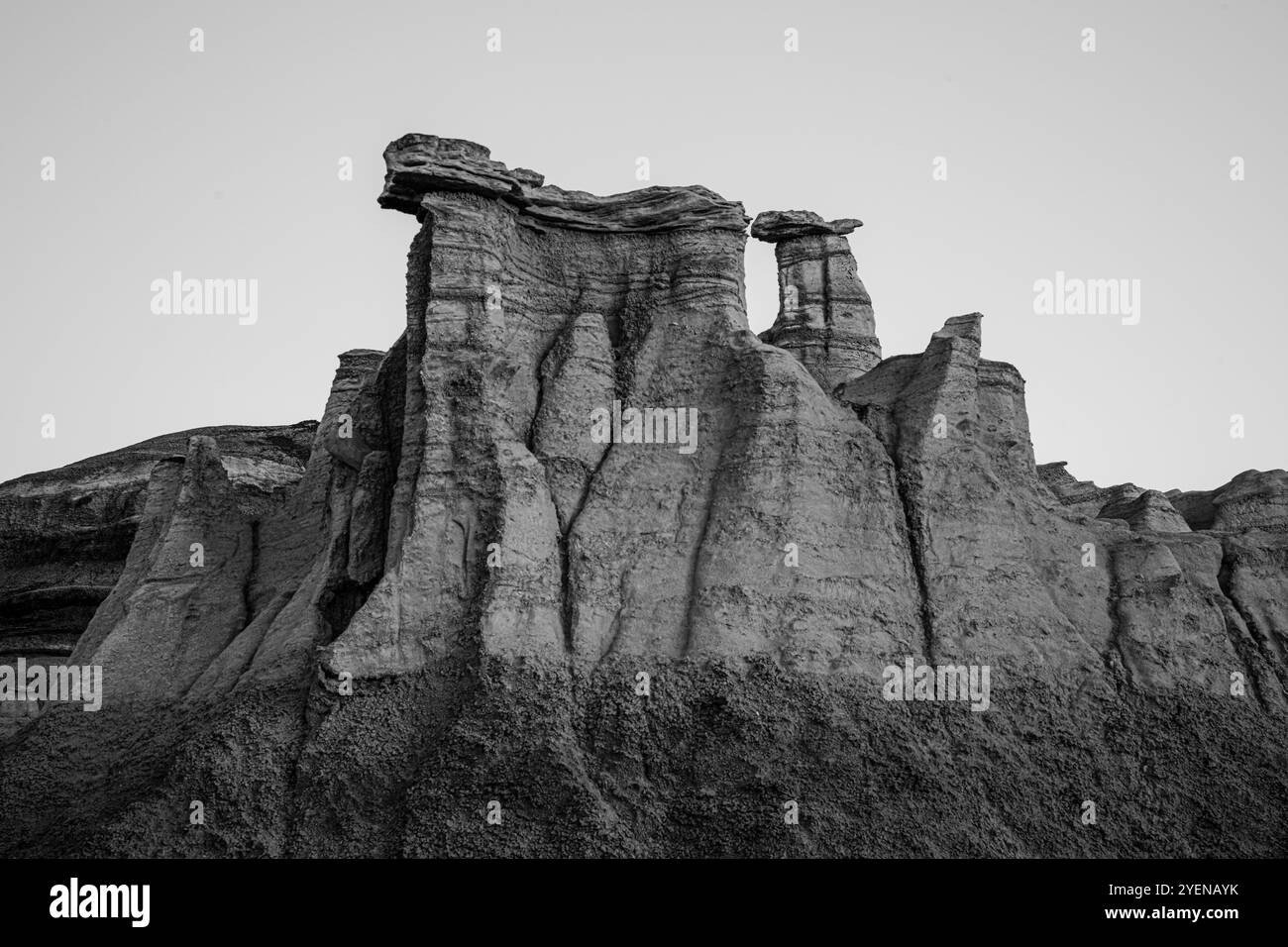 kenzo hoodie women's