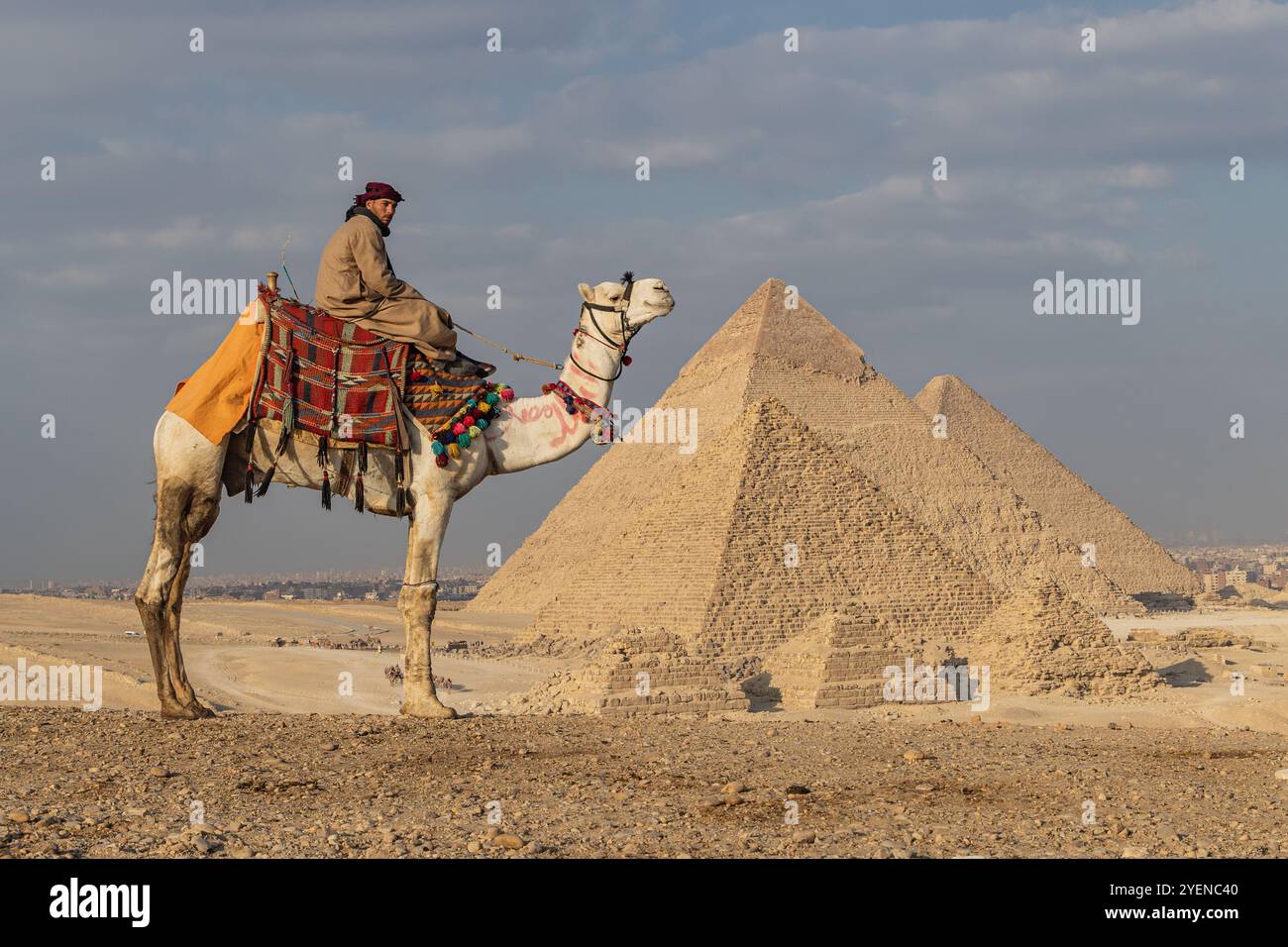 Compensation Broken Or Lost Parcel Neon Glow Icon Vector Image Australia