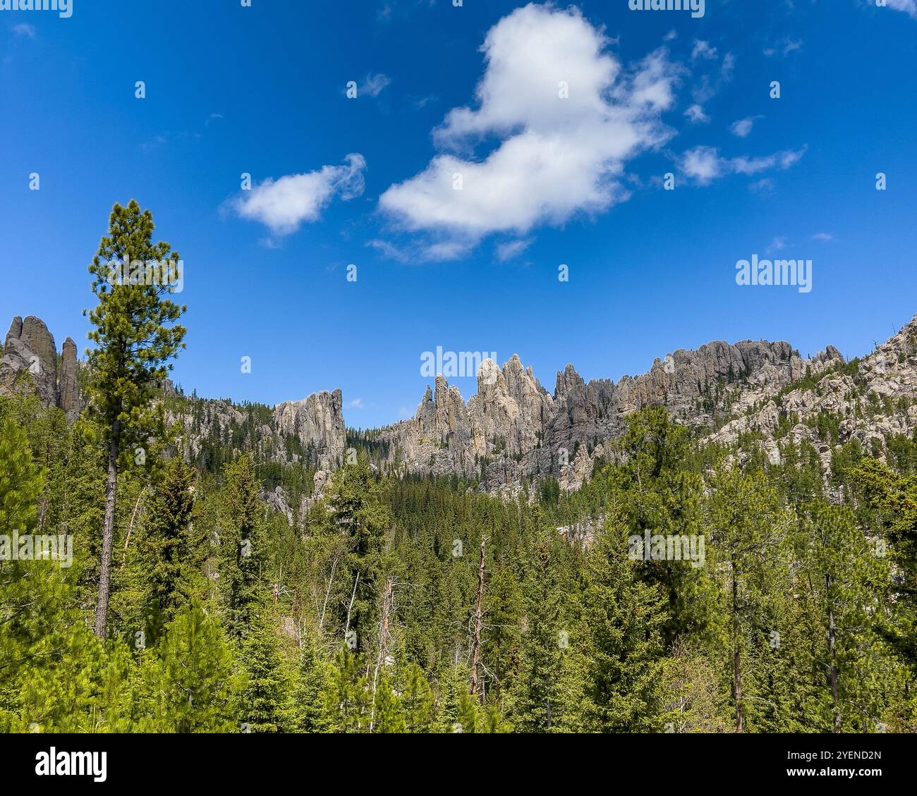 The Needles Rock Formations in Custer State Park, Black Hills, South Dakota Stock Photo