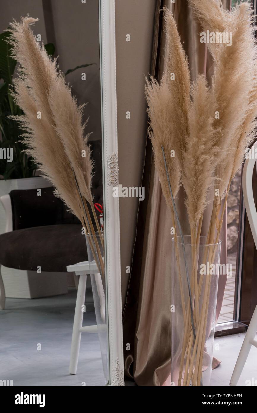Elegant Pampas Grass Arrangement in a Contemporary Interior Setting ...