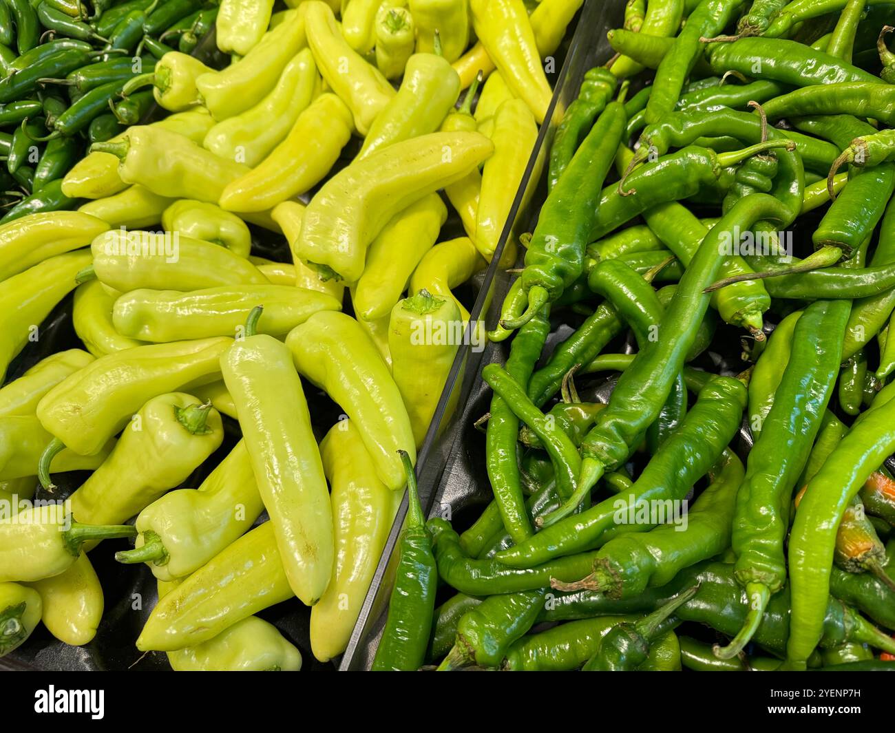 two distinct types of peppers in a grocery display Stock Photo - Alamy