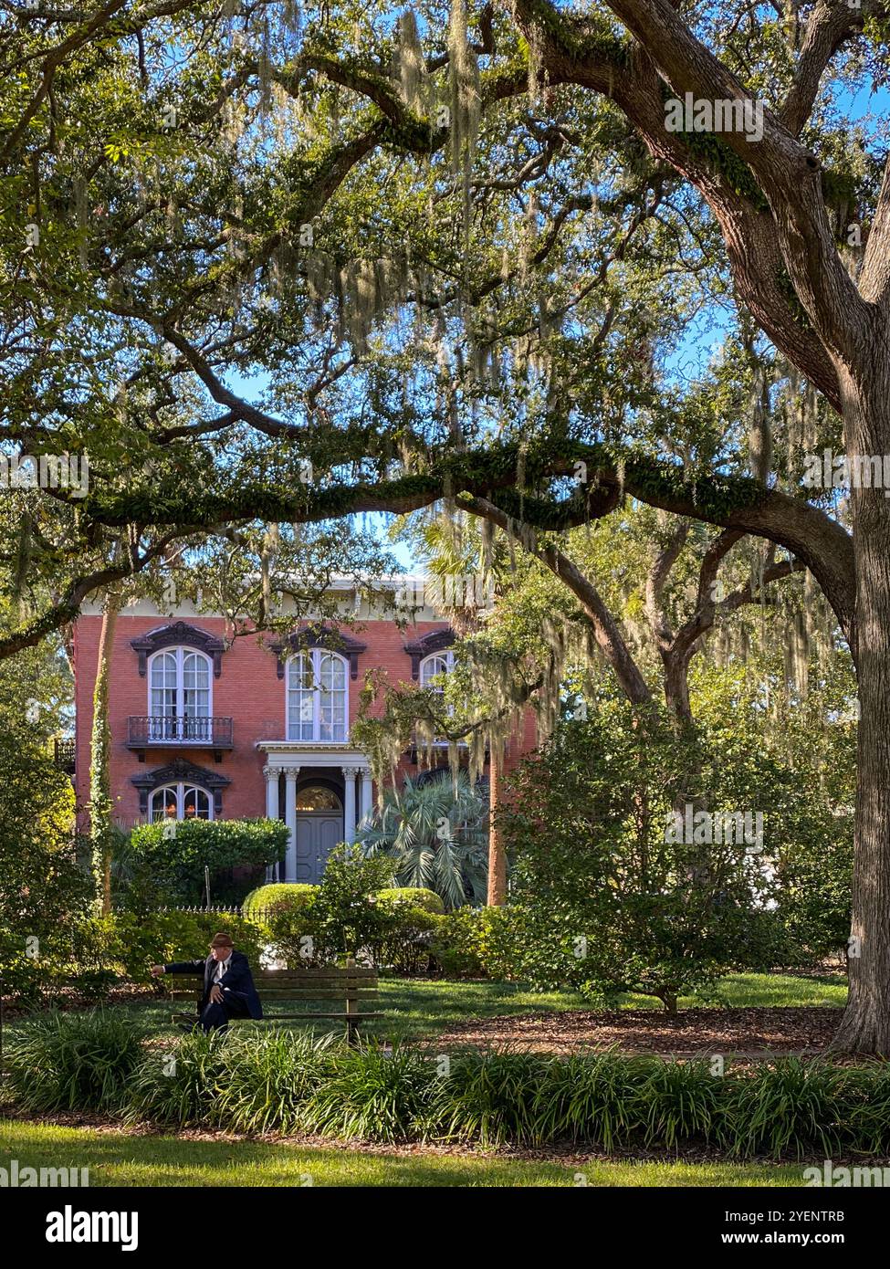 Man on a Bench in Monterey Square, Savannah, Georgia, USA - Smartphone Captured Stock Image