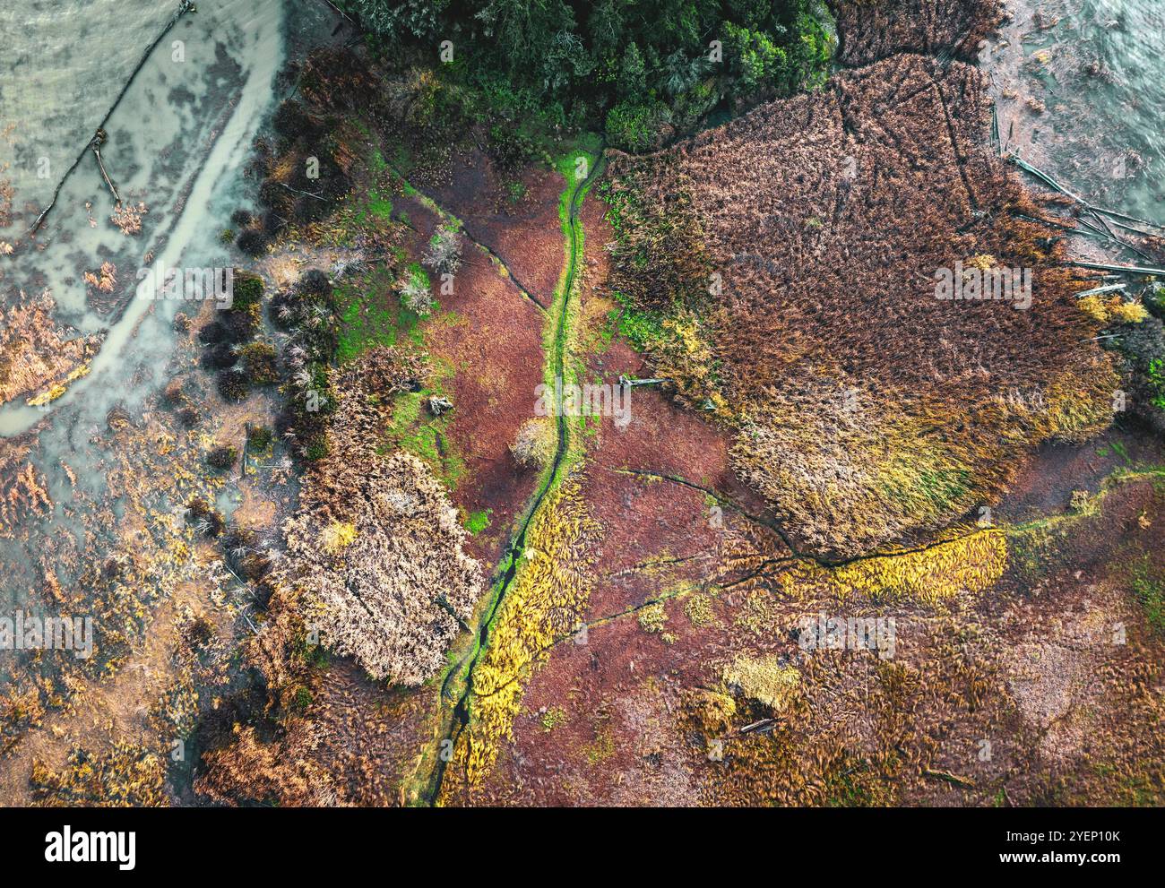 Aerial view of tidal flats at the mouth of the Skagit River, near La Conner, Washington, USA Stock Photo