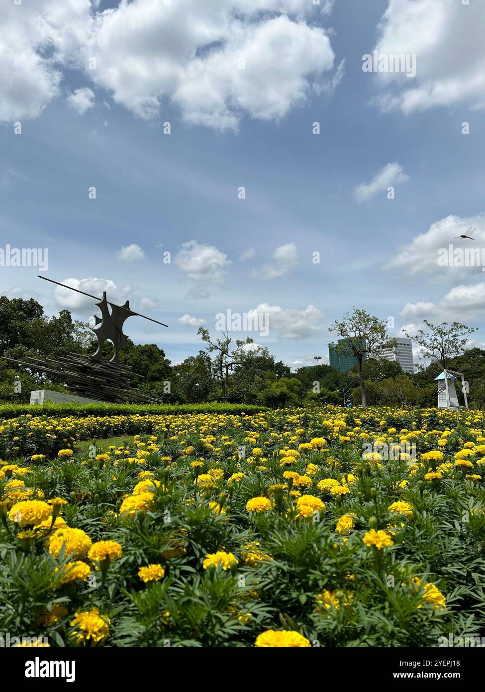 Vibrant yellow marigolds bloom in a beautiful garden beneath a clear sky, featuring a unique sculpture amidst lush greenery. - Smartphone Captured Stock Image