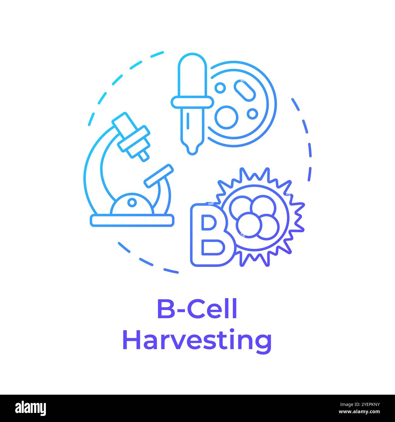 B-cell harvesting blue gradient concept icon Stock Vector