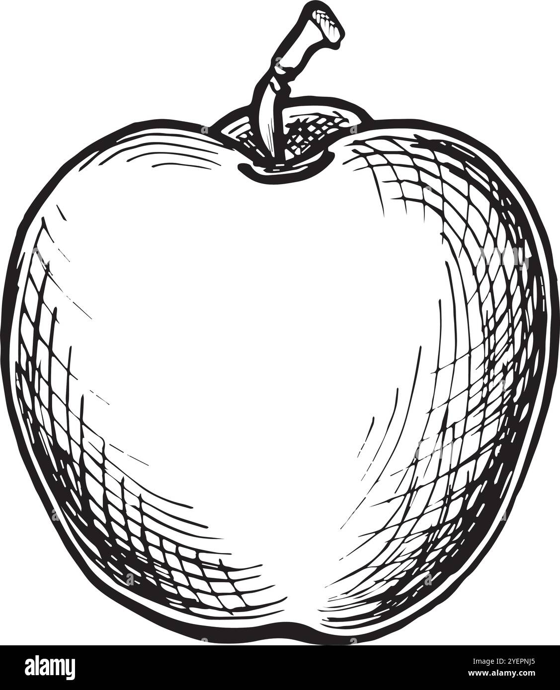 Whole apple Black and White Stock Photos & Images - Alamy