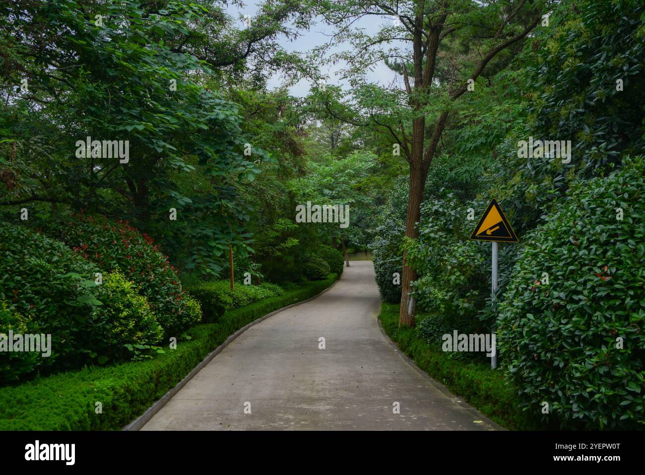 Empty park alley in hi-res stock photography and images - Alamy