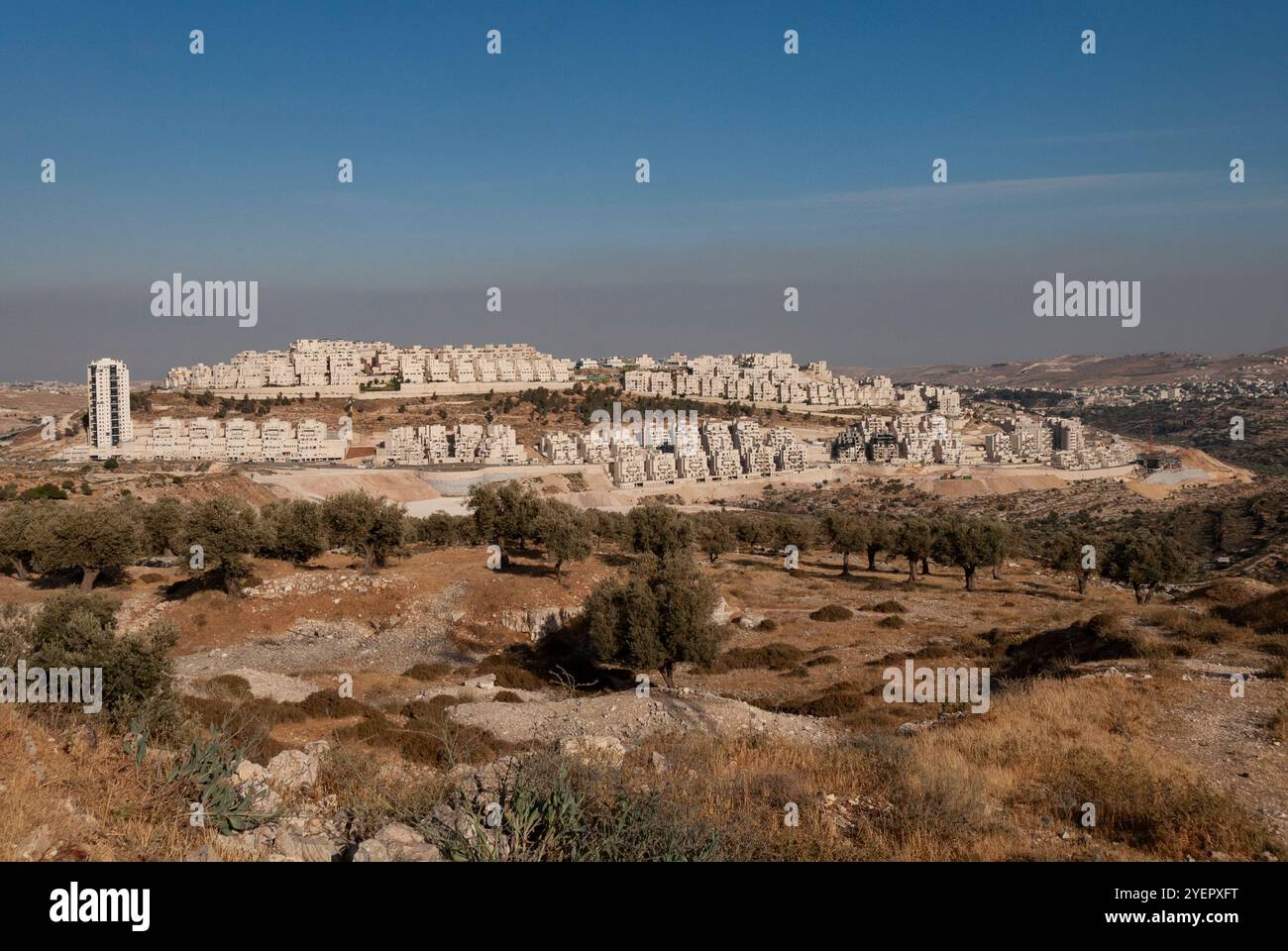 Panoramic view of the Har Homa modern residential neighborhood of southern Jerusalem, Israel. Stock Photo