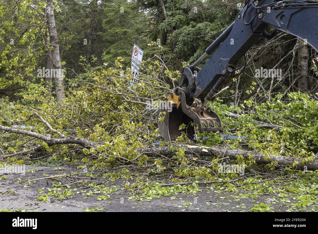 Hydraulic boom and pincer of an excavator is seen clearing debris and ...