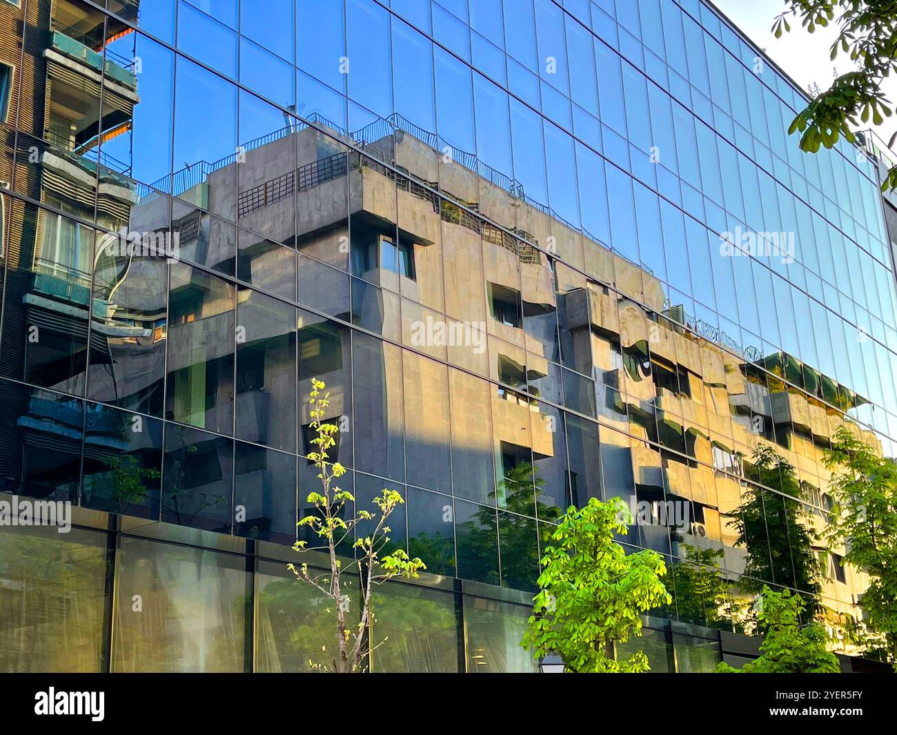 Reflection on glass facade. Padilla street, Madrid, Spain. - Smartphone Captured Stock Image