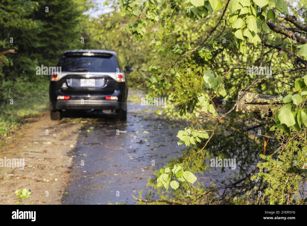 Driving hazards weather hi-res stock photography and images - Alamy