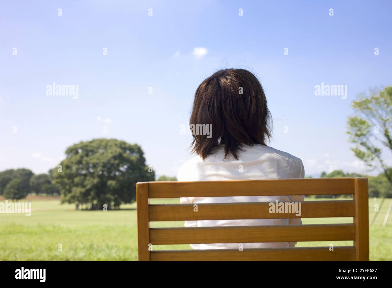 Back view woman sit in hi-res stock photography and images - Alamy