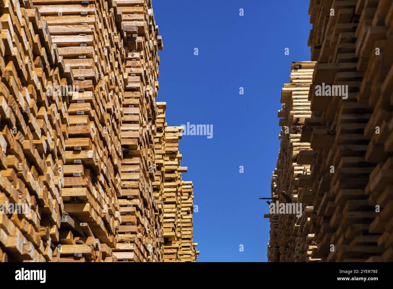 A low angle view of stockpiled timber slats in a lumber yard, used in construction, beneath blue sky with copy space. Woodworking and timber industry Stock Photo