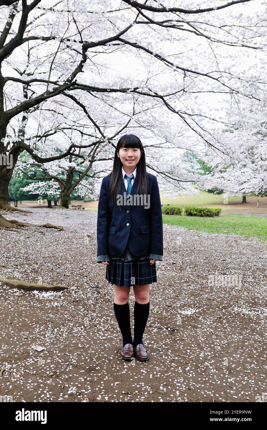 Cherry blossoms and high school girl Stock Photo - Alamy