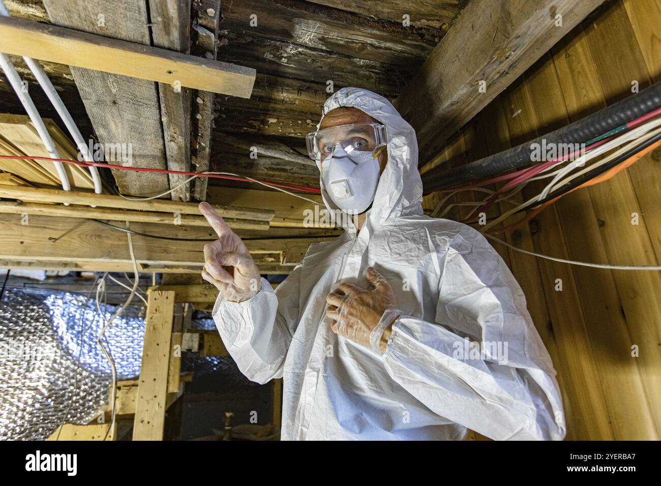 Quality assessor hi-res stock photography and images - Alamy