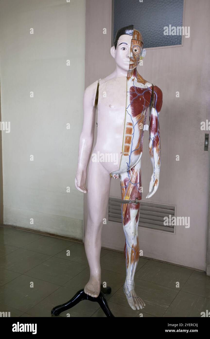 Building science model hi-res stock photography and images - Alamy