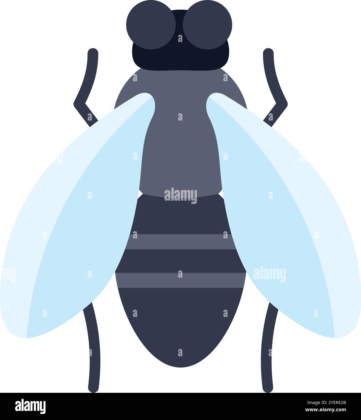 House fly insect spreading hi-res stock photography and images - Alamy