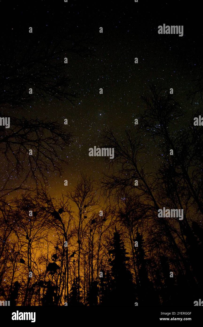 Starry sky with milky way hi-res stock photography and images - Alamy