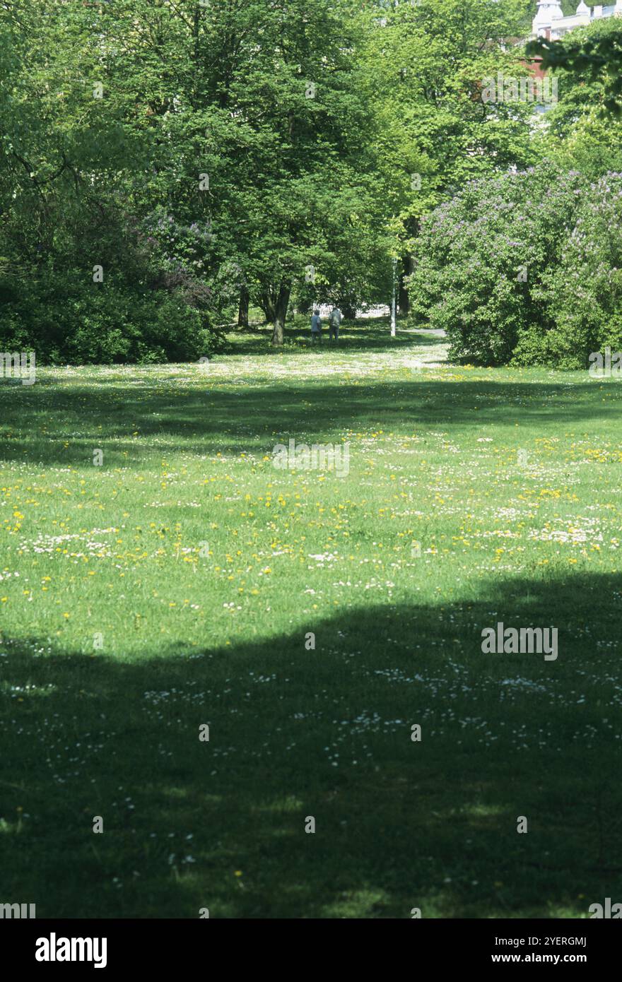Garden grass lawn park hi-res stock photography and images - Alamy