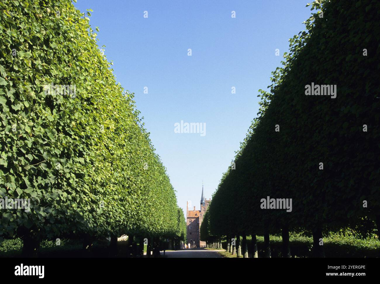 Green wall Stock Photo