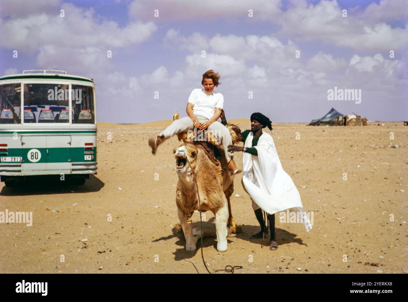 Woman showing alarm sitting on a camel getting up helped by a local ...