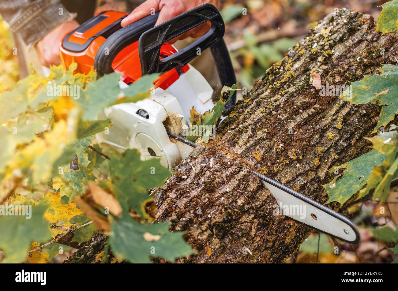 Detailed view chainsaw blade hi-res stock photography and images - Alamy