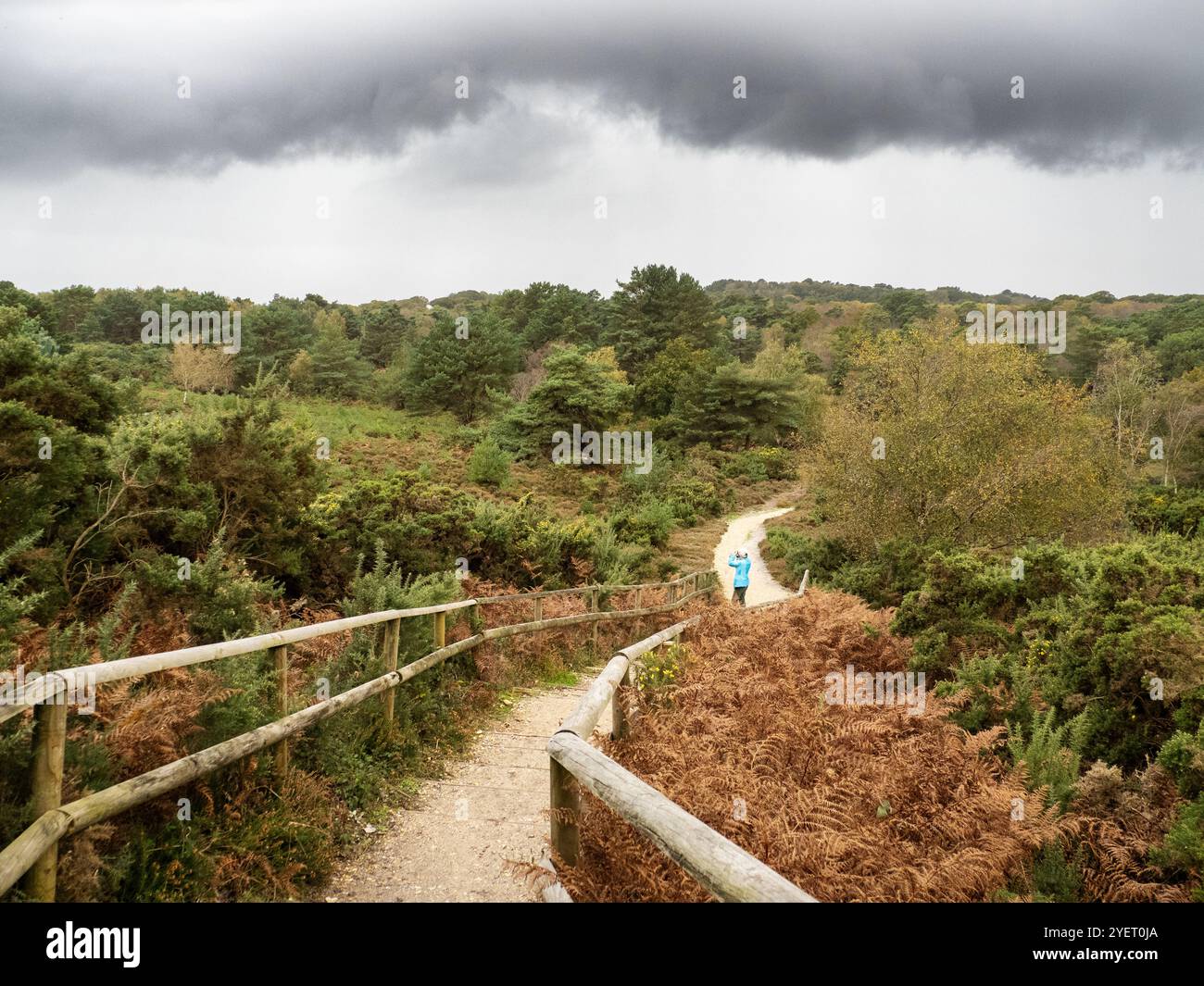 Arne dorset hi-res stock photography and images - Alamy