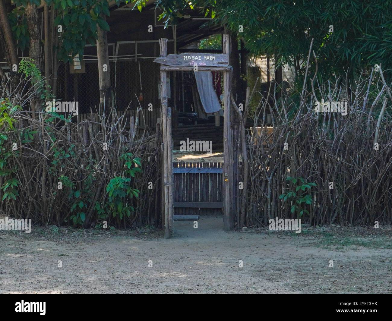Rustic fence made with tree branches and wooden posts with a small gate ...